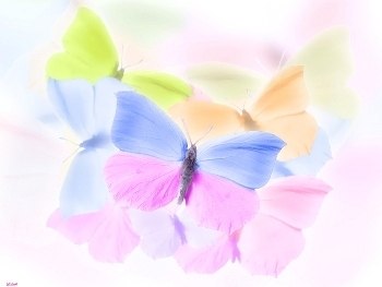 Бесшовные фоны с бабочками и насекомыми - Страница 2 H7B67sO7SsY